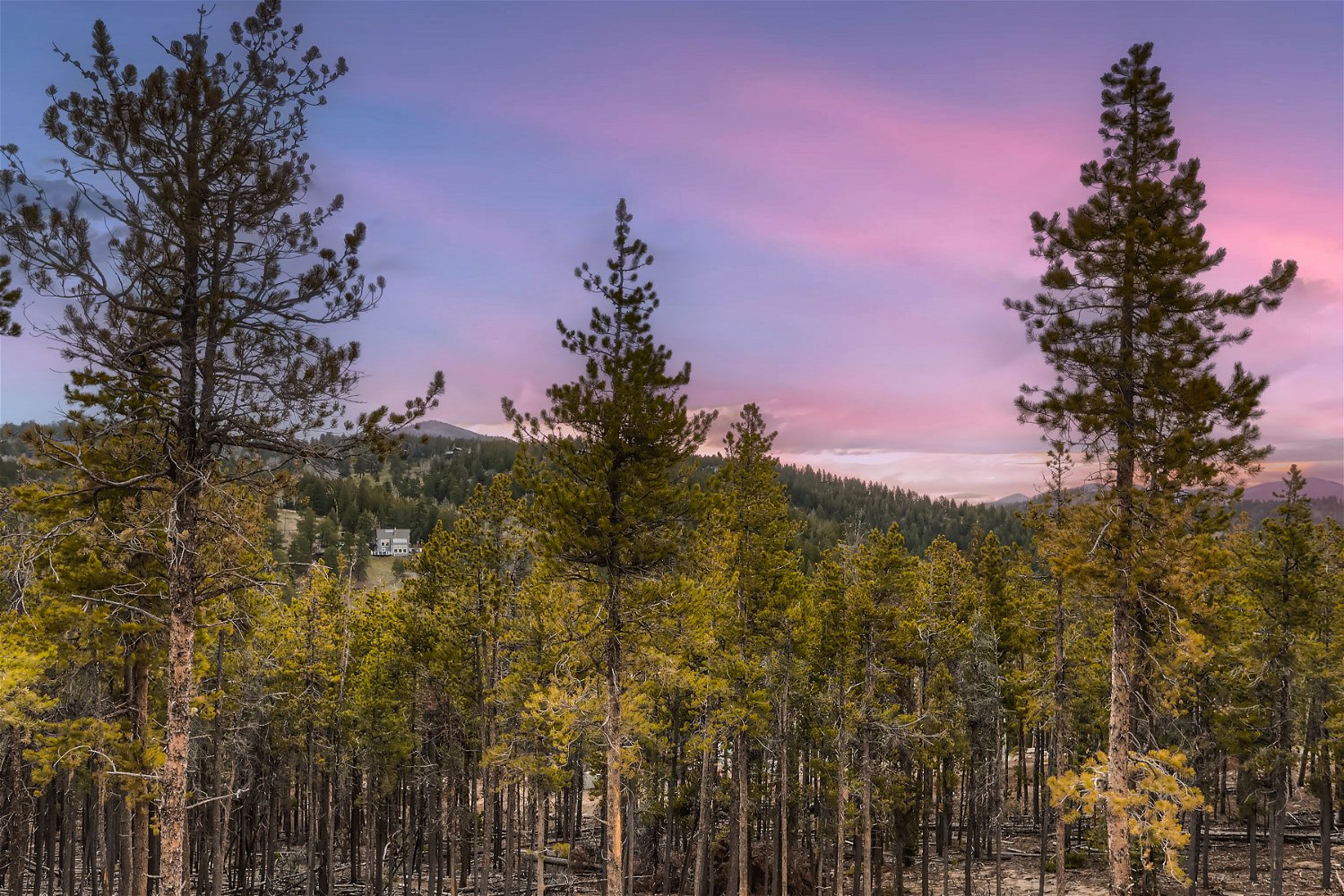 Featured Home: Rocky Mountain Majesty