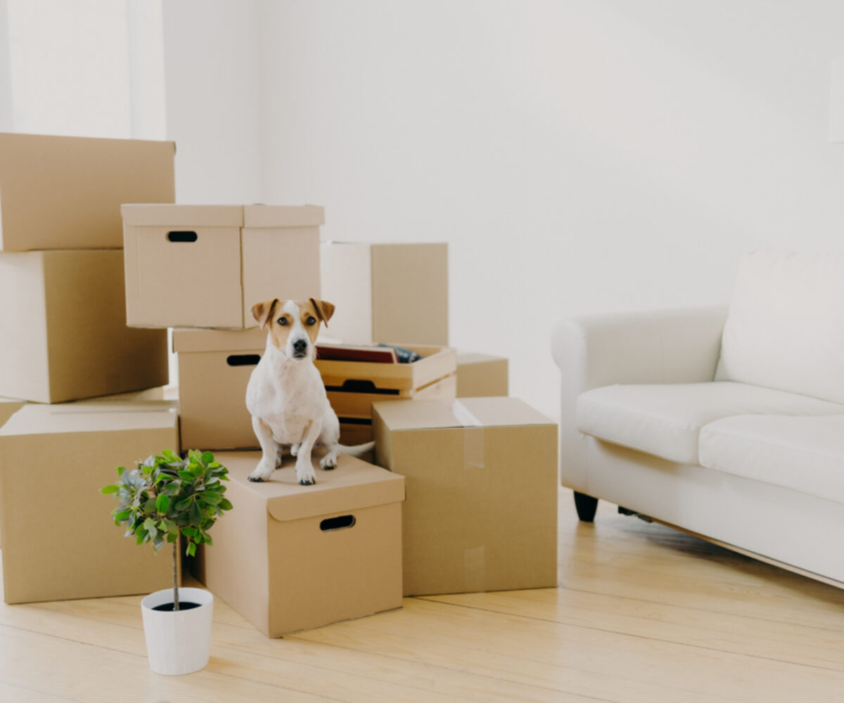 10 Tips for a Successful Move