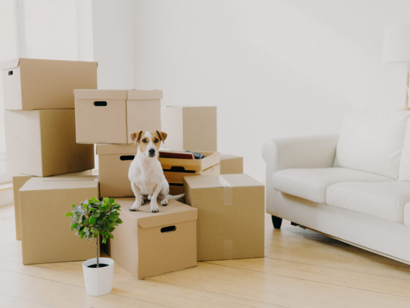 10 Tips for a Successful Move